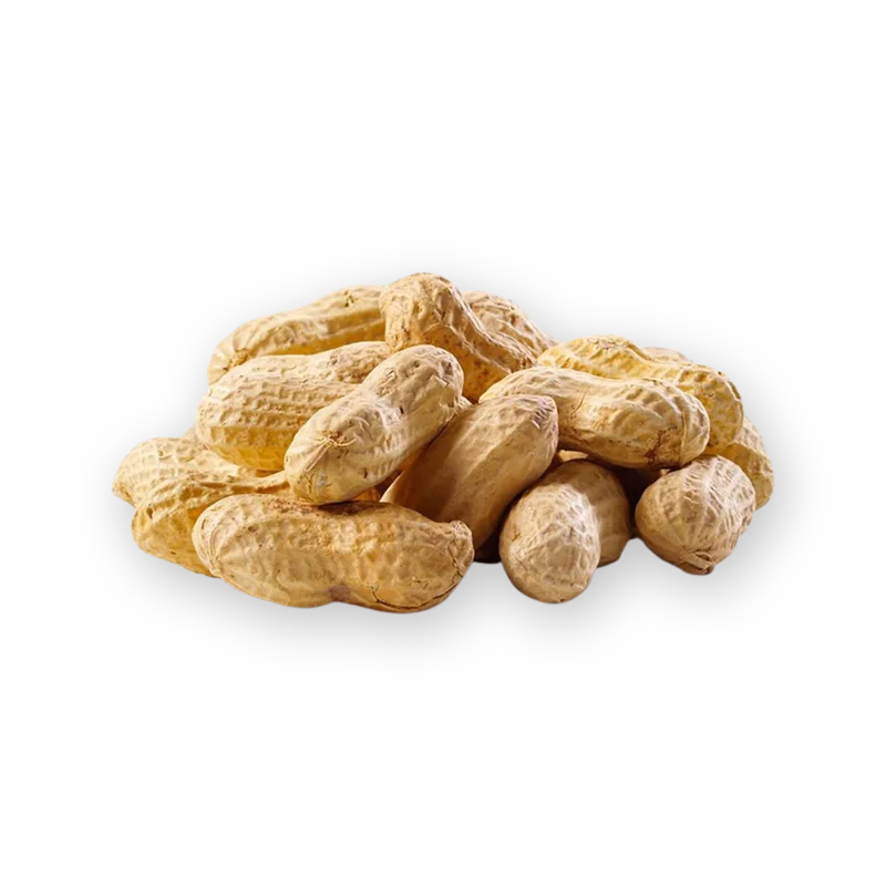 Fresh Fresh Raw Peanuts 